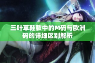 三叶草鞋款中的M码与欧洲码的详细区别解析