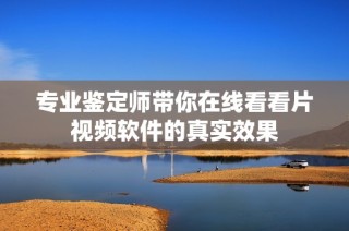 专业鉴定师带你在线看看片视频软件的真实效果