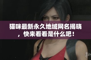 猫咪最新永久地域网名揭晓，快来看看是什么吧！