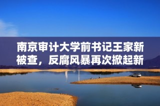 南京审计大学前书记王家新被查，反腐风暴再次掀起新高潮