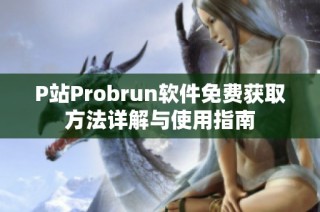 P站Probrun软件免费获取方法详解与使用指南