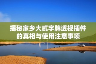 揭秘家乡大贰字牌透视插件的真相与使用注意事项
