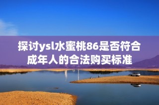 探讨ysl水蜜桃86是否符合成年人的合法购买标准