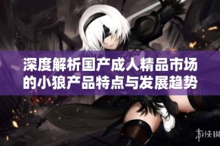 深度解析国产成人精品市场的小狼产品特点与发展趋势