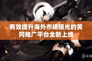 有效提升海外市场曝光的黄冈推广平台全新上线
