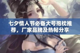 七夕情人节必备大号抱枕推荐，厂家品牌及热帖分享