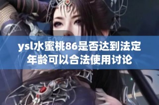 ysl水蜜桃86是否达到法定年龄可以合法使用讨论