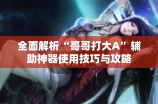 全面解析“哥哥打大A”辅助神器使用技巧与攻略
