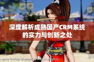 深度解析成熟国产CRM系统的实力与创新之处