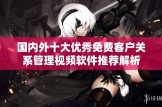 国内外十大优秀免费客户关系管理视频软件推荐解析