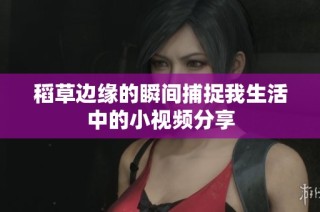 稻草边缘的瞬间捕捉我生活中的小视频分享