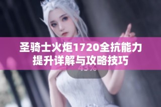 圣骑士火炬1720全抗能力提升详解与攻略技巧
