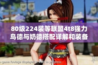 80级224装等联盟4t8强力鸟德与奶德搭配详解和装备推荐