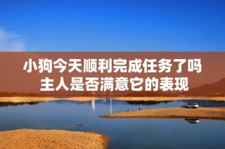 小狗今天顺利完成任务了吗 主人是否满意它的表现
