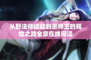 从野法师崛起到巫师王的辉煌之路全章在线阅读