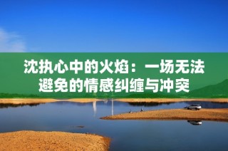 沈执心中的火焰：一场无法避免的情感纠缠与冲突