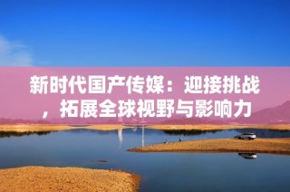 新时代国产传媒：迎接挑战，拓展全球视野与影响力