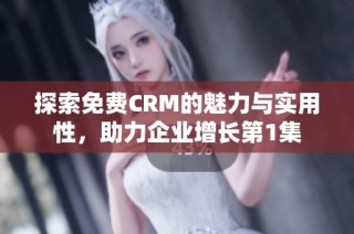 探索免费CRM的魅力与实用性，助力企业增长第1集