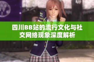 四川BB站的流行文化与社交网络现象深度解析