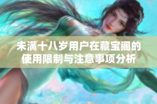 未满十八岁用户在藏宝阁的使用限制与注意事项分析