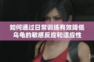 如何通过日常训练有效降低乌龟的敏感反应和适应性