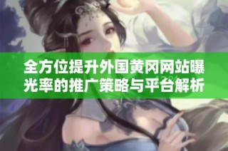 全方位提升外国黄冈网站曝光率的推广策略与平台解析