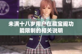 未满十八岁用户在藏宝阁功能限制的相关说明