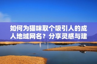 如何为猫咪取个吸引人的成人地域网名？分享灵感与建议