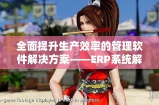 全面提升生产效率的管理软件解决方案——ERP系统解析