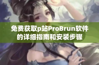免费获取p站ProBrun软件的详细指南和安装步骤