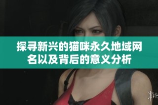 探寻新兴的猫咪永久地域网名以及背后的意义分析