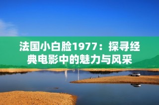 法国小白脸1977：探寻经典电影中的魅力与风采