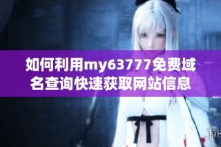 如何利用my63777免费域名查询快速获取网站信息
