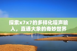 探索x7x7的多样化噪声输入，直通大象的奇妙世界