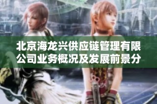 北京海龙兴供应链管理有限公司业务概况及发展前景分析
