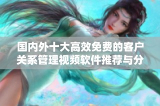 国内外十大高效免费的客户关系管理视频软件推荐与分析