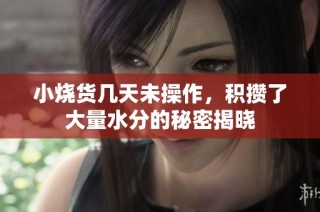 小烧货几天未操作，积攒了大量水分的秘密揭晓