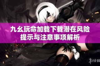 九幺玩命加载下载潜在风险提示与注意事项解析