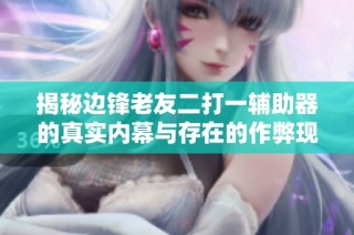 揭秘边锋老友二打一辅助器的真实内幕与存在的作弊现象
