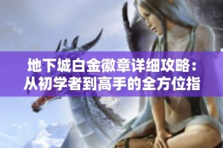 地下城白金徽章详细攻略：从初学者到高手的全方位指南