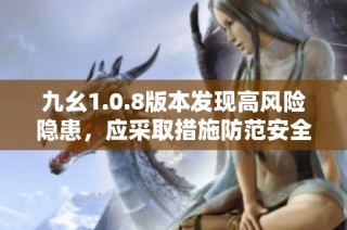 九幺1.0.8版本发现高风险隐患，应采取措施防范安全问题