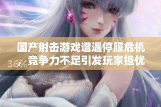 国产射击游戏遭遇停服危机，竞争力不足引发玩家担忧