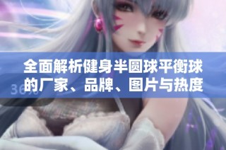 全面解析健身半圆球平衡球的厂家、品牌、图片与热度