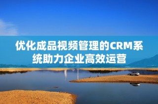 优化成品视频管理的CRM系统助力企业高效运营