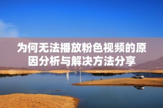 为何无法播放粉色视频的原因分析与解决方法分享
