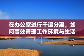 在办公室进行干湿分离，如何高效管理工作环境与生活？