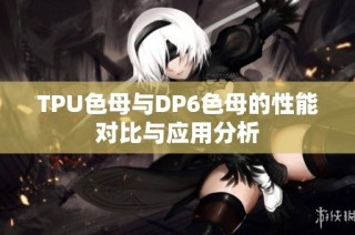 TPU色母与DP6色母的性能对比与应用分析