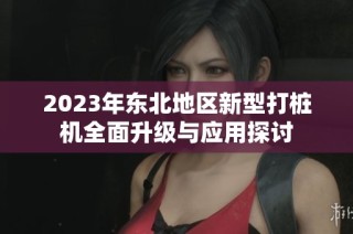 2023年东北地区新型打桩机全面升级与应用探讨