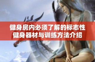 健身房内必须了解的标志性健身器材与训练方法介绍