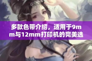 多款色带介绍，适用于9mm与12mm打印机的完美选择